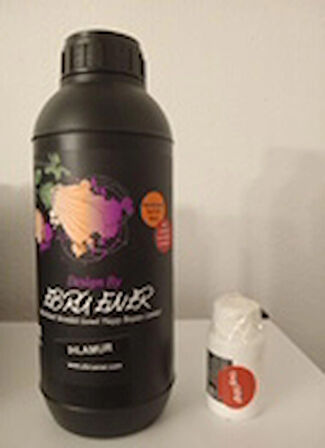 Ebru Ener Anka Vernikli Genel Yüzey Boyası Ihlamur Yeşili 1000 gr. ve Katkı Maddesi 30 gr.