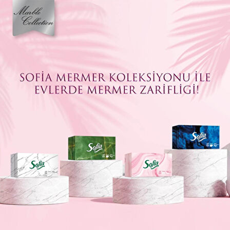 Sofia Kutu Mendil 100 Yaprak x 4