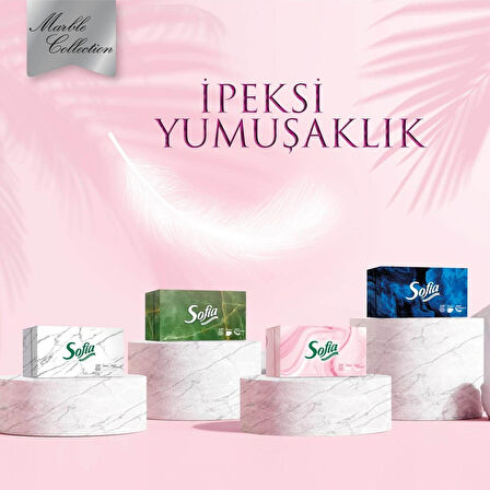 Sofia Kutu Mendil 100 Yaprak x 4