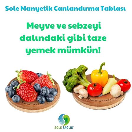 Manyetik Su Canlandırma Tablası (20 CM)