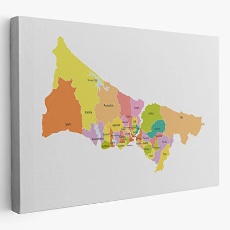İstanbul İlçeleri Haritası Dekoratif Kanvas Tablo, Duvar Dekoru 1017