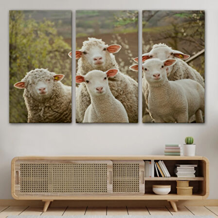 Koyun Kuzu, Hayvan Temalı Dekoratif Kanvas Tablo, Duvar Dekoru 1119