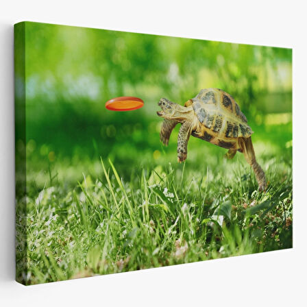 Zıplayan Kaplumbağa, Hayvan Temalı Dekoratif Kanvas Tablo, Duvar Dekoru 1122