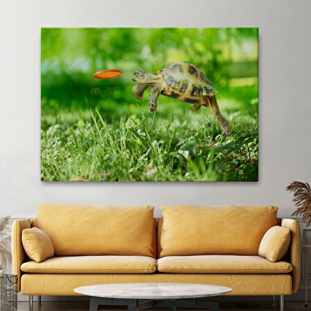 Zıplayan Kaplumbağa, Hayvan Temalı Dekoratif Kanvas Tablo, Duvar Dekoru 1122