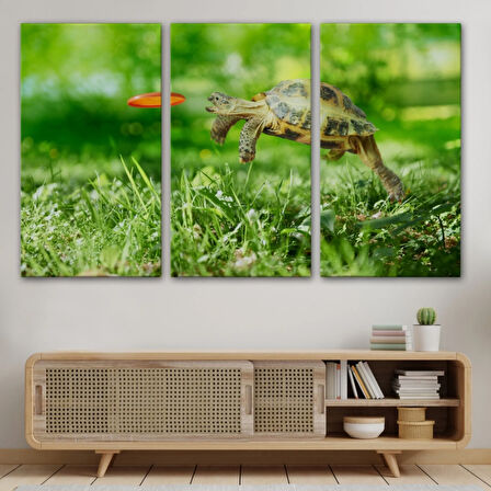 Zıplayan Kaplumbağa, Hayvan Temalı Dekoratif Kanvas Tablo, Duvar Dekoru 1122