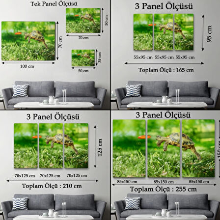 Zıplayan Kaplumbağa, Hayvan Temalı Dekoratif Kanvas Tablo, Duvar Dekoru 1122