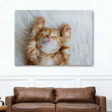 Kedi Yavrusu, Hayvan Temalı Dekoratif Kanvas Tablo, Duvar Dekoru 1125