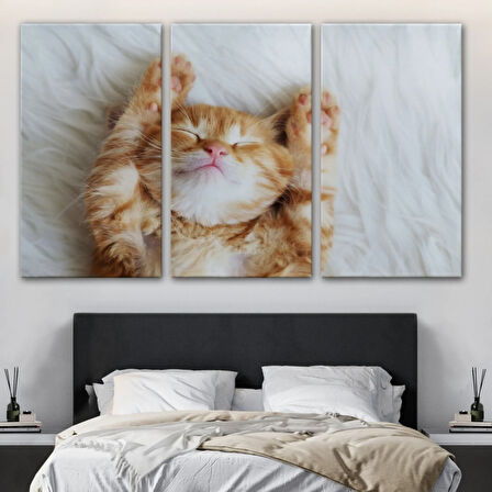 Kedi Yavrusu, Hayvan Temalı Dekoratif Kanvas Tablo, Duvar Dekoru 1125