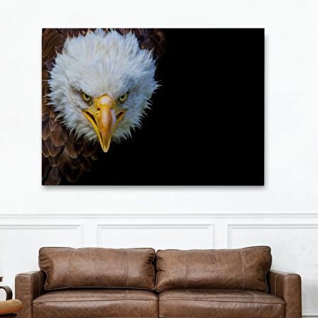 Kartal, Hayvan Temalı Dekoratif Kanvas Tablo, Duvar Dekoru 1132