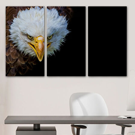 Kartal, Hayvan Temalı Dekoratif Kanvas Tablo, Duvar Dekoru 1132