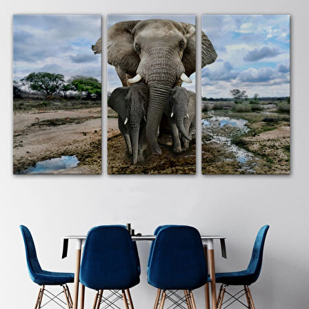 Fil ve Yavruları, Hayvan Temalı Dekoratif Kanvas Tablo, Duvar Dekoru 1134