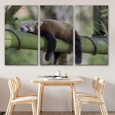 Kırmızı Panda, Hayvan Temalı Dekoratif Kanvas Tablo, Duvar Dekoru 1140