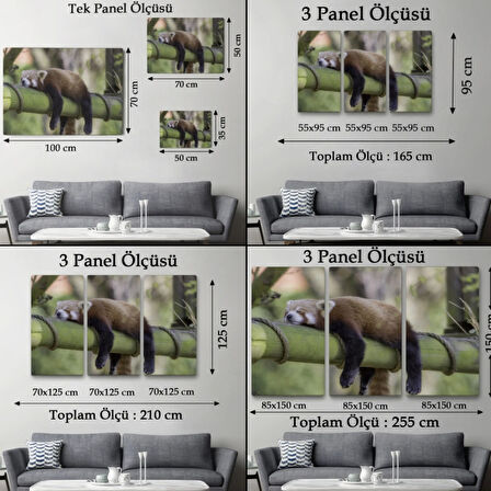 Kırmızı Panda, Hayvan Temalı Dekoratif Kanvas Tablo, Duvar Dekoru 1140