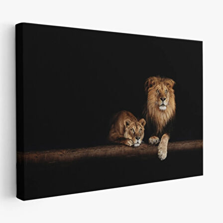 Aslanlar, Hayvan Temalı Dekoratif Kanvas Tablo, Duvar Dekoru 1151