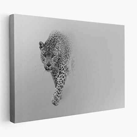 Leopar, Hayvan Temalı Dekoratif Kanvas Tablo, Duvar Dekoru 1154