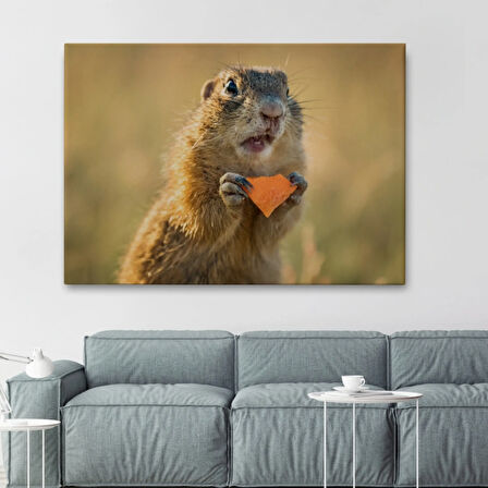 Şaşkın Sincap, Hayvan Temalı Dekoratif Kanvas Tablo, Duvar Dekoru 1158