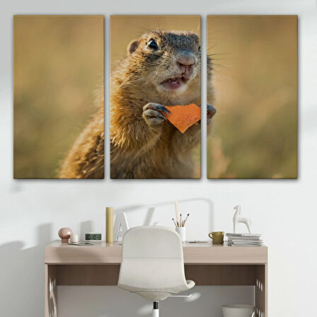 Şaşkın Sincap, Hayvan Temalı Dekoratif Kanvas Tablo, Duvar Dekoru 1158