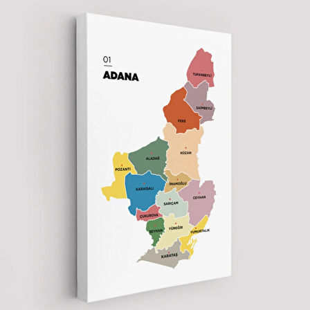 İl ve İlçeler Haritası Adana, Modern Dekoratif Kanvas Tablo, Duvar Dekoru 1246
