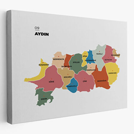 İl ve İlçeler Haritası Aydın, Modern Dekoratif Kanvas Tablo, Duvar Dekoru 1277