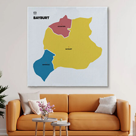 İl ve İlçeler Haritası Bayburt, Modern Dekoratif Kanvas Tablo, Duvar Dekoru 1289