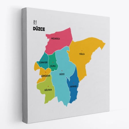 İl ve İlçeler Haritası Düzce, Modern Dekoratif Kanvas Tablo, Duvar Dekoru 1324