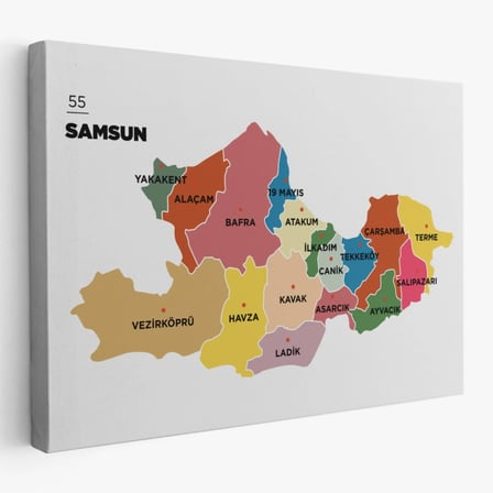 İl ve İlçeler Haritası Samsun, Modern Dekoratif Kanvas Tablo, Duvar Dekoru 1446