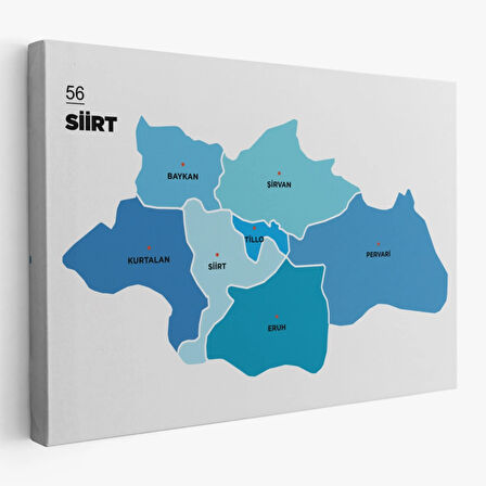 İl ve İlçeler Haritası Siirt, Modern Dekoratif Kanvas Tablo, Duvar Dekoru 1450