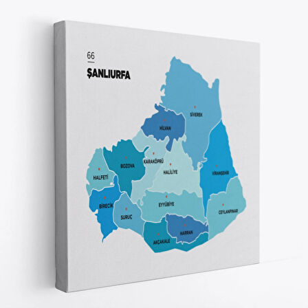 İl ve İlçeler Haritası Şanlıurfa, Modern Dekoratif Kanvas Tablo, Duvar Dekoru 1459
