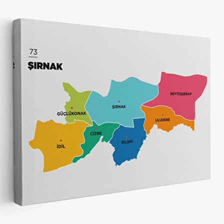 İl ve İlçeler Haritası Şırnak, Modern Dekoratif Kanvas Tablo, Duvar Dekoru 1460