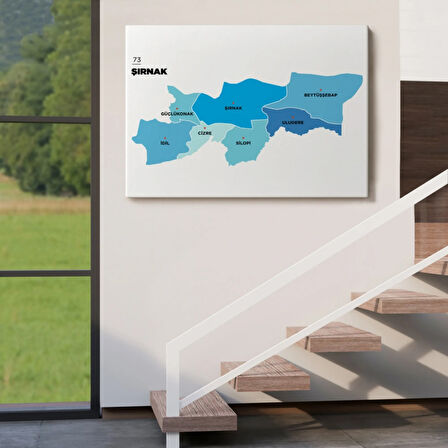 İl ve İlçeler Haritası Şırnak, Modern Dekoratif Kanvas Tablo, Duvar Dekoru 1462