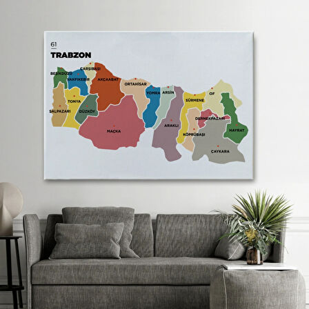 İl ve İlçeler Haritası Trabzon, Modern Dekoratif Kanvas Tablo, Duvar Dekoru 1470