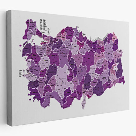 Eğitici İl ve İlçe Detaylı Türkiye Haritası, Harita Dekoratif Kanvas Tablo, Duvar Dekoru 3025
