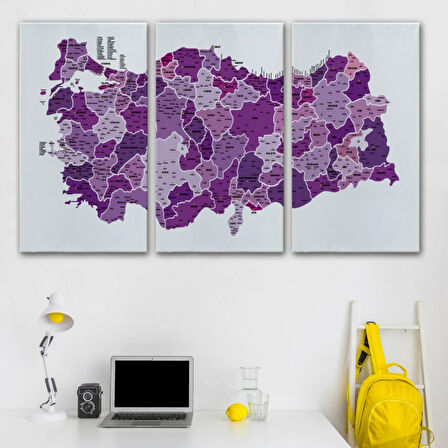 Eğitici İl ve İlçe Detaylı Türkiye Haritası, Harita Dekoratif Kanvas Tablo, Duvar Dekoru 3025