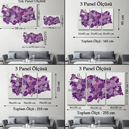 Eğitici İl ve İlçe Detaylı Türkiye Haritası, Harita Dekoratif Kanvas Tablo, Duvar Dekoru 3025