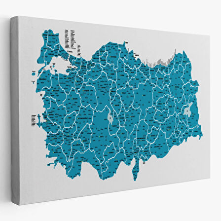 Eğitici İl ve İlçe Detaylı Türkiye Haritası, Harita Dekoratif Kanvas Tablo, Duvar Dekoru 3031