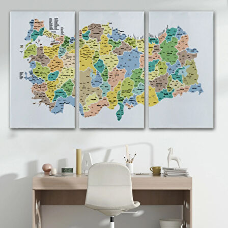 Eğitici İl ve İlçe Detaylı Türkiye Haritası, Harita Dekoratif Kanvas Tablo, Duvar Dekoru 3046