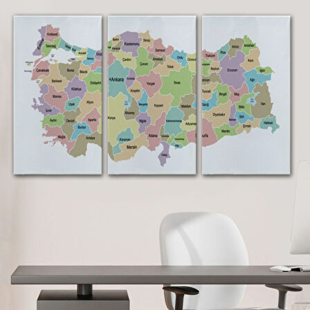 Eğitici Türkiye Haritası, Harita Dekoratif Kanvas Tablo, Duvar Dekoru 3128