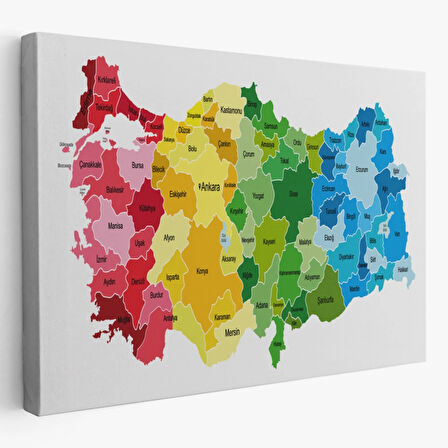 Eğitici Türkiye Haritası, Harita Dekoratif Kanvas Tablo, Duvar Dekoru 3133