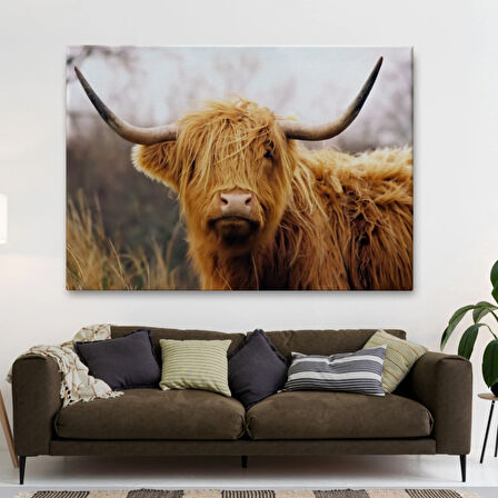 Amerikan İneği Dekoratif Kanvas Tablo, Duvar Dekoru 5156