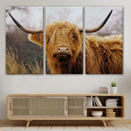 Amerikan İneği Dekoratif Kanvas Tablo, Duvar Dekoru 5156