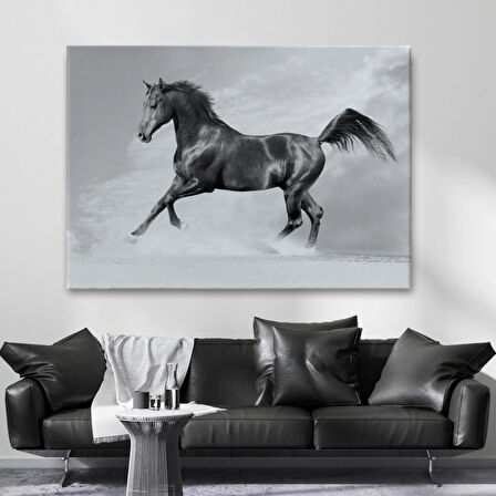 Asil Siyah At Dekoratif Kanvas Tablo, Duvar Dekoru 6623