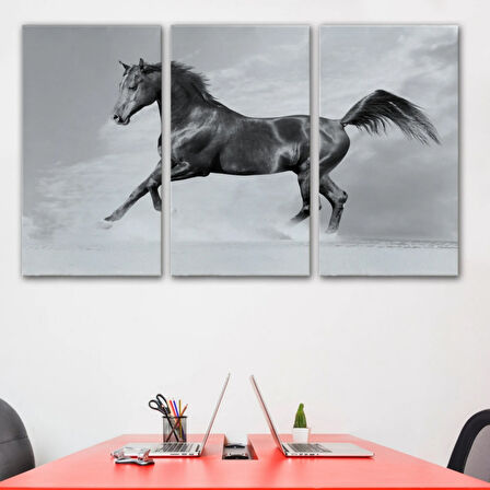 Asil Siyah At Dekoratif Kanvas Tablo, Duvar Dekoru 6623