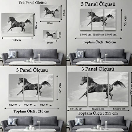 Asil Siyah At Dekoratif Kanvas Tablo, Duvar Dekoru 6623