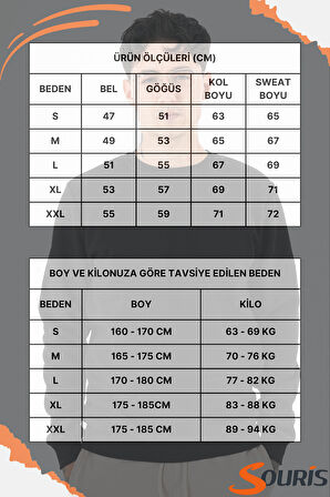 Erkek Siyah Sweatshirt Bisiklet Yaka Rahat Kalıp 3 iplik Şardonlu