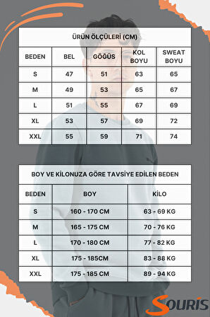 Erkek Açık Mavi Sweatshirt Bisiklet Yaka Rahat Kalıp 3 iplik Şardonlu Nakışlı