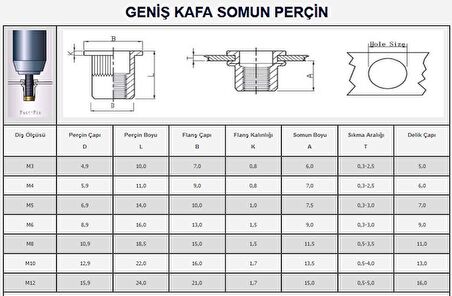 M3 YUVARLAK GENİŞ KAFA SOMUN PERÇİN (100 ADET)