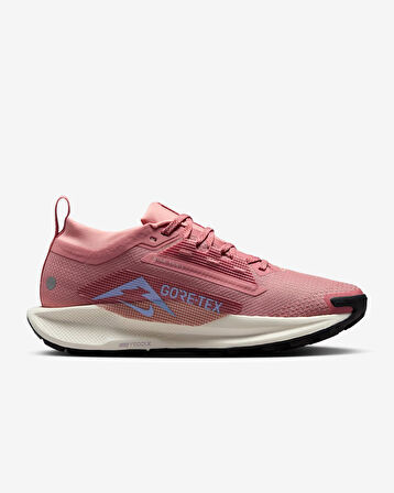 Nike Pegasus Trail 5 GORE-TEX SU GEÇİRMEZ ARAZİ TİPİ KOŞU AYAKKABISI-SPORTXOUTLET