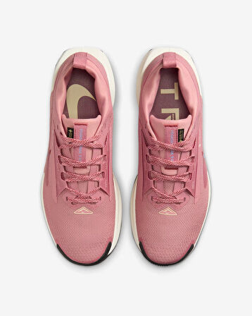 Nike Pegasus Trail 5 GORE-TEX SU GEÇİRMEZ ARAZİ TİPİ KOŞU AYAKKABISI-SPORTXOUTLET