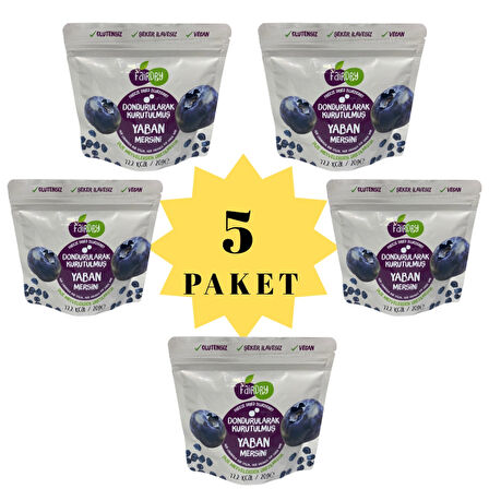 FairDry Beşibiryerde Yaban Mersini, Freeze Dried, Dondurularak Kurutulmuş, Meyve Kurusu