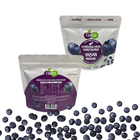FairDry Beşibiryerde Yaban Mersini, Freeze Dried, Dondurularak Kurutulmuş, Meyve Kurusu